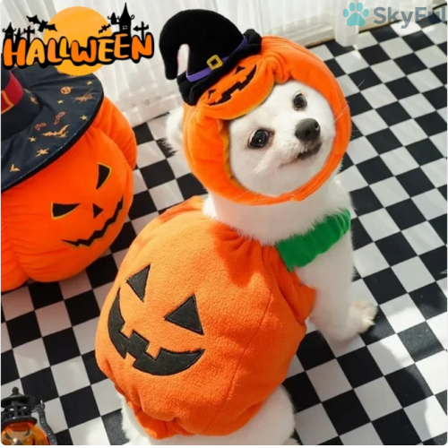 Pumpkin Paws™Halloween Pompoen Kostuum voor Huisdieren