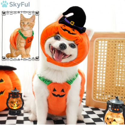 Pumpkin Paws™Halloween Pompoen Kostuum voor Huisdieren